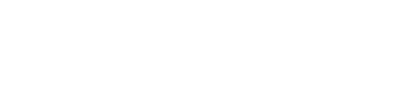 NordPass logo