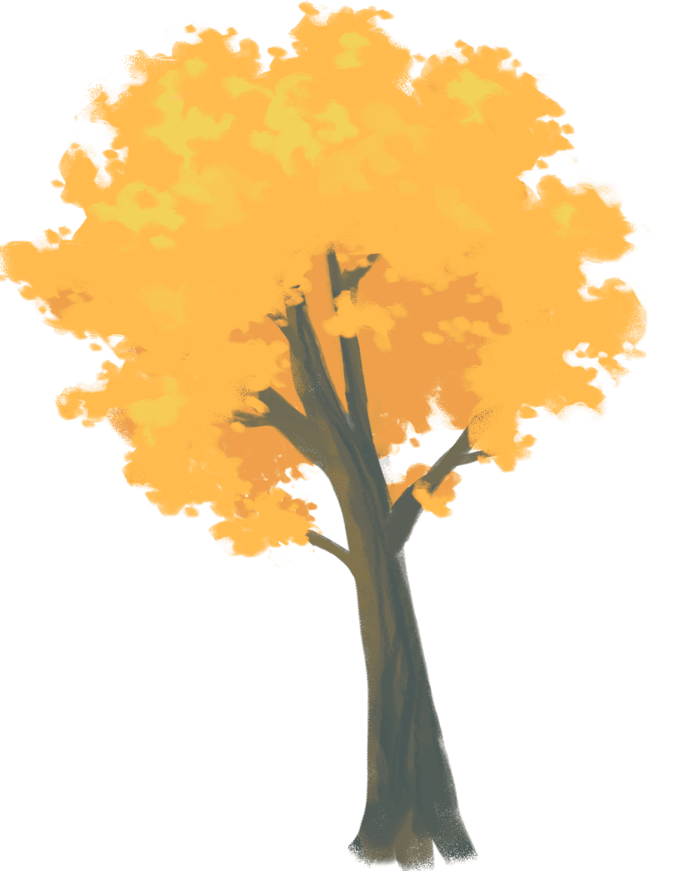 log ginkgo